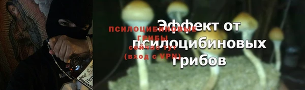дурь Абдулино