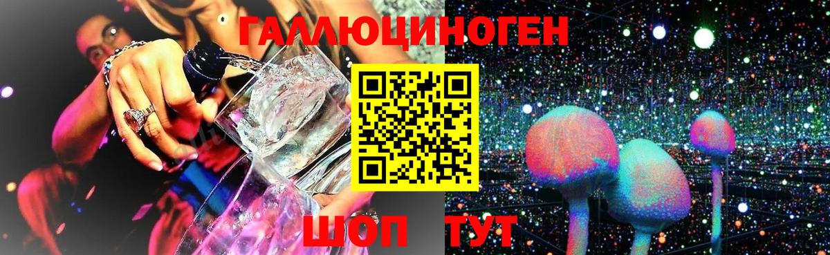 Галлюциногенные грибы Psilocybine cubensis Саратов