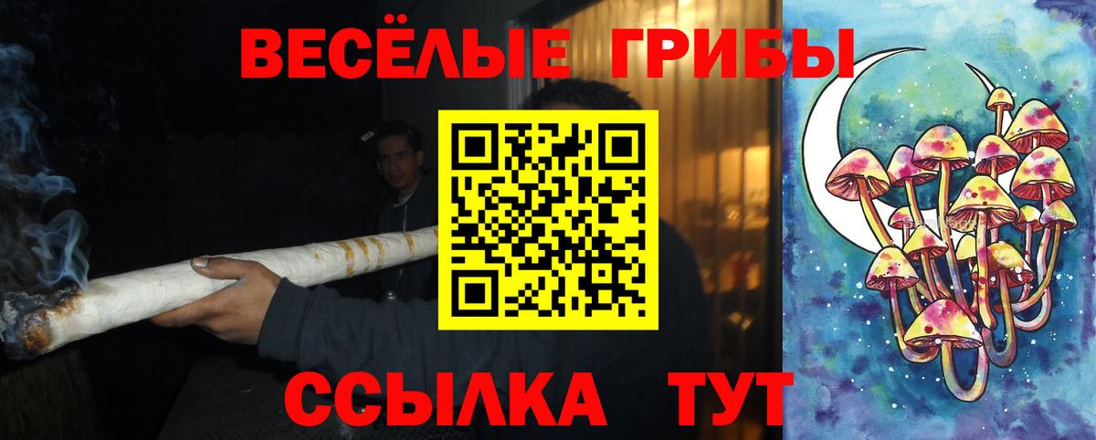 дарнет шоп  Псилоцибиновые грибы мухоморы  Вход с VPN  Галлюциногенные грибы ЛСД  Саратов 