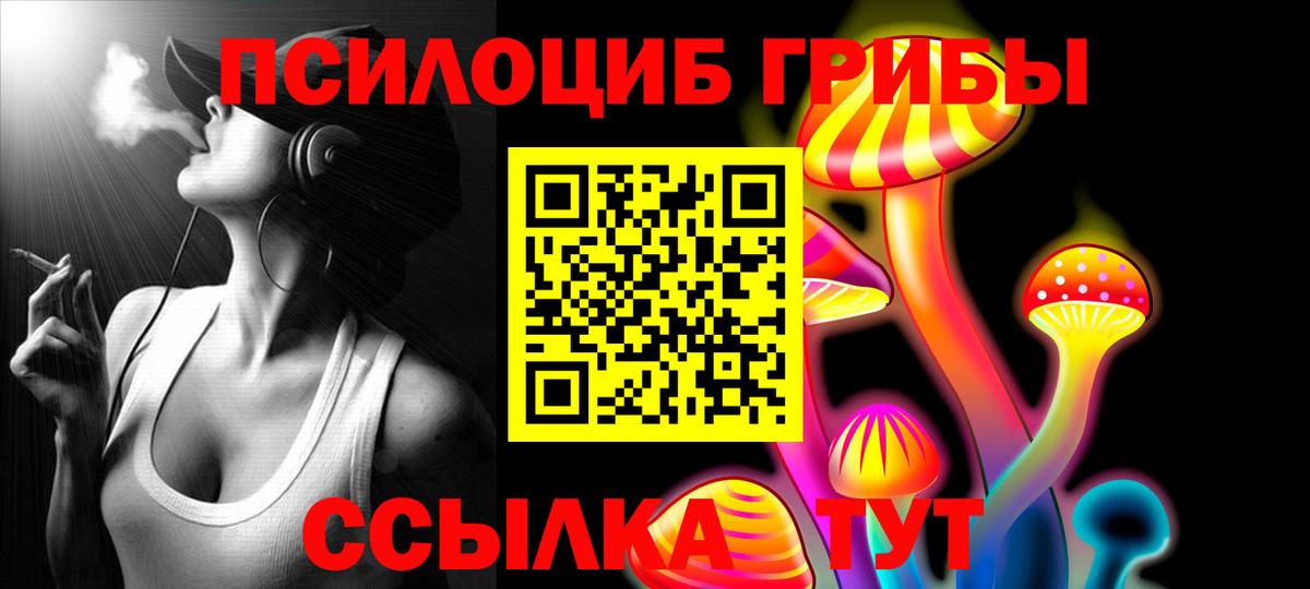 Саратов  Галлюциногенные грибы GOLDEN TEACHER  Вход с VPN  Псилоцибиновые грибы GOLDEN TEACHER 